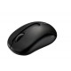  Rapoo M10 Nano Receiver Wireless Mouse