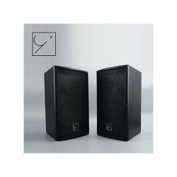 YAS-C06 6 Inch Professional Speaker