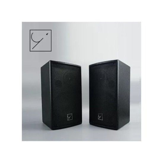 YAS-C06 6 Inch Professional Speaker