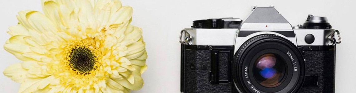 Sony α7C Camera Review